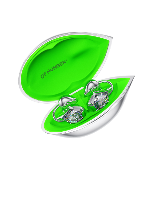 Gray Zircon AI Earphones
