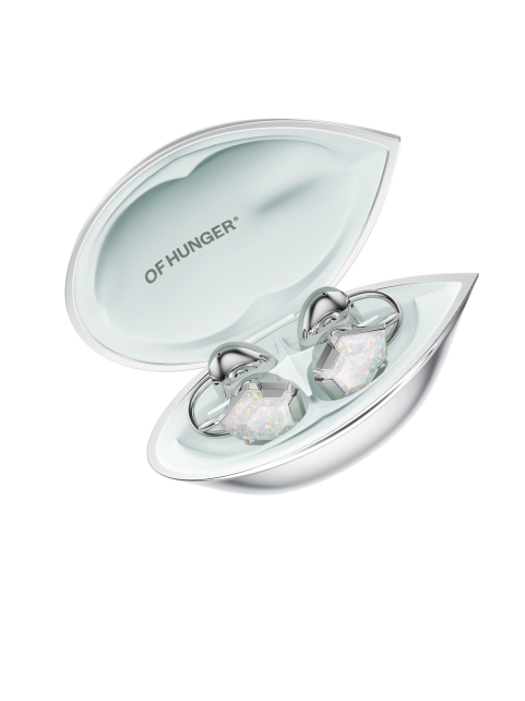 Opal AI Earphones